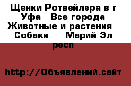 Щенки Ротвейлера в г.Уфа - Все города Животные и растения » Собаки   . Марий Эл респ.